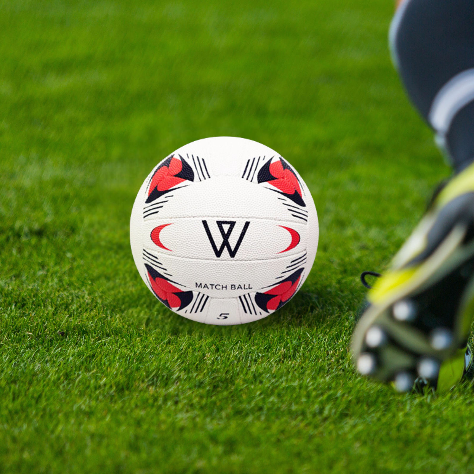 Match Net Ball