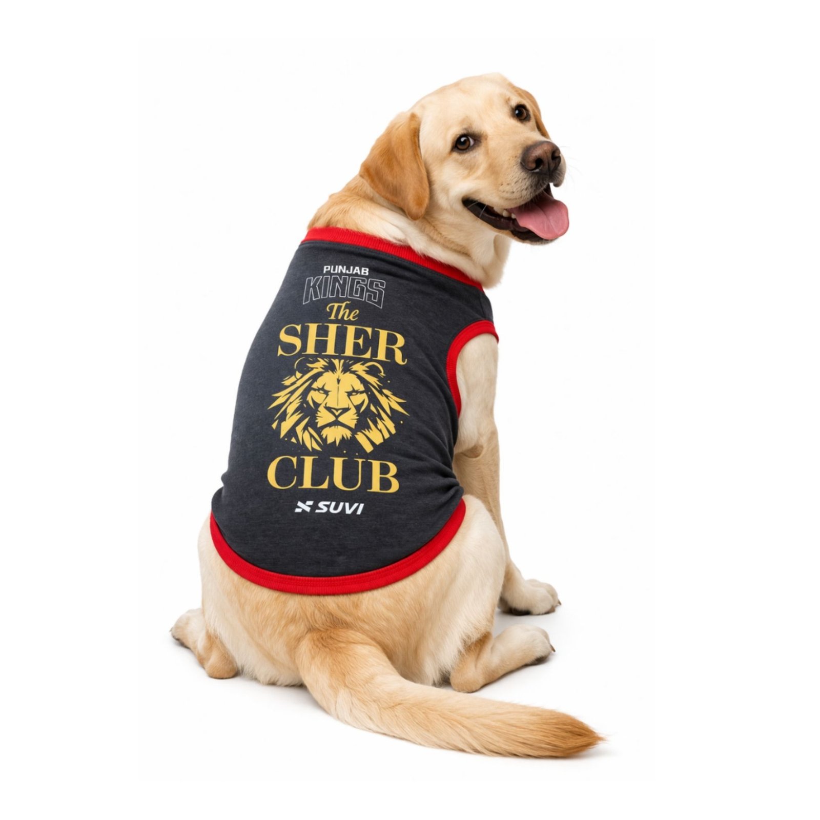 SUVI - The Sher Club Pet Wear - Image 2